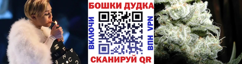  COCAIN Козловка
