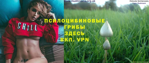 герыч Надым