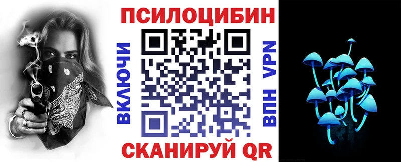 Купить закладки  Козловка  Псилоцибиновые грибы Magic Shrooms 